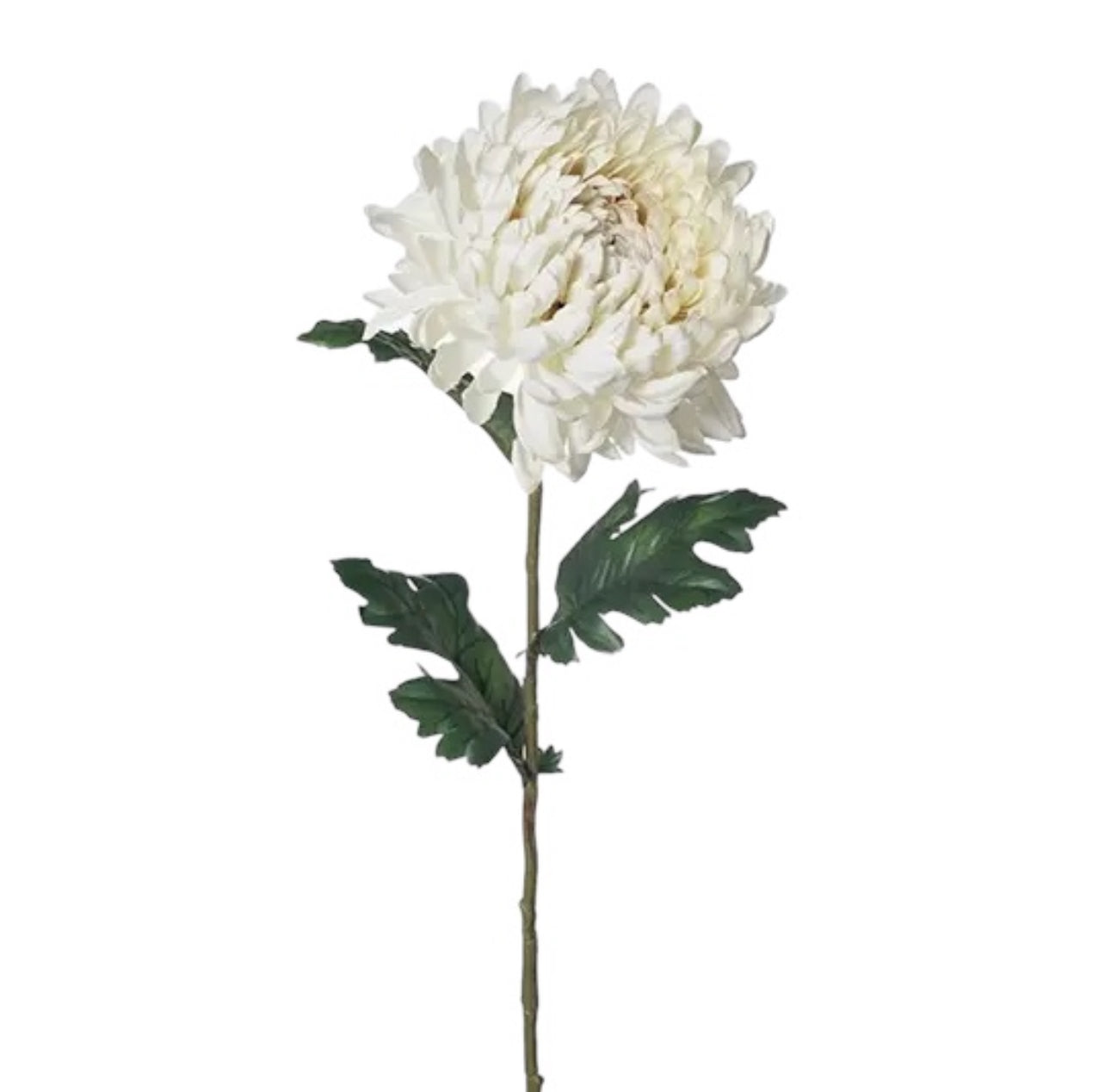 Artificial Chrysanthemum Stems and Leaves hire at Rockhampton Vintage Hire