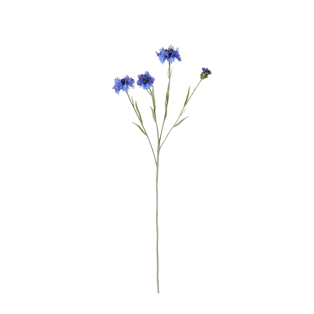 Artificial Cornflowers Stems and Leaves hire at Rockhampton Vintage Hire