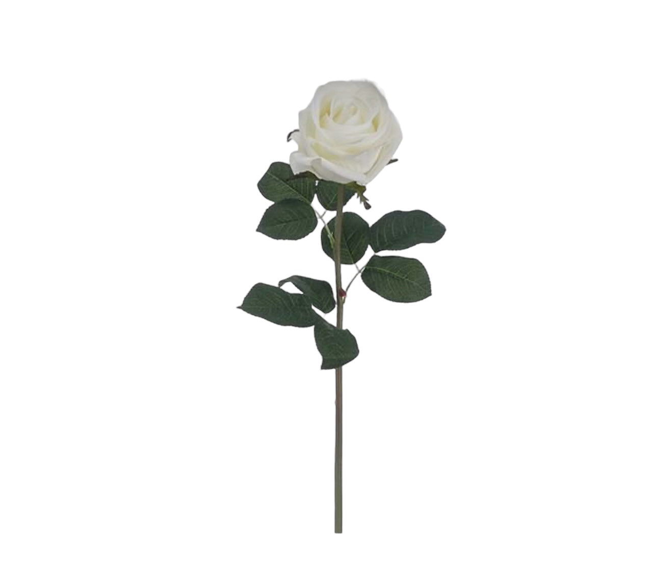 White Rose Stems and Leaves Rockhampton Vintage Hire