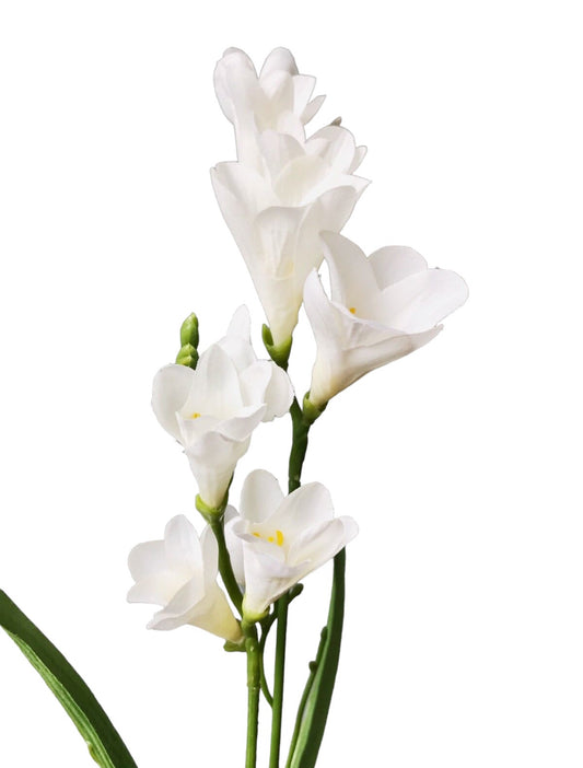 Artificial Freesias Stems and Leaves hire for your wedding & events from Rockhampton Vintage Hire