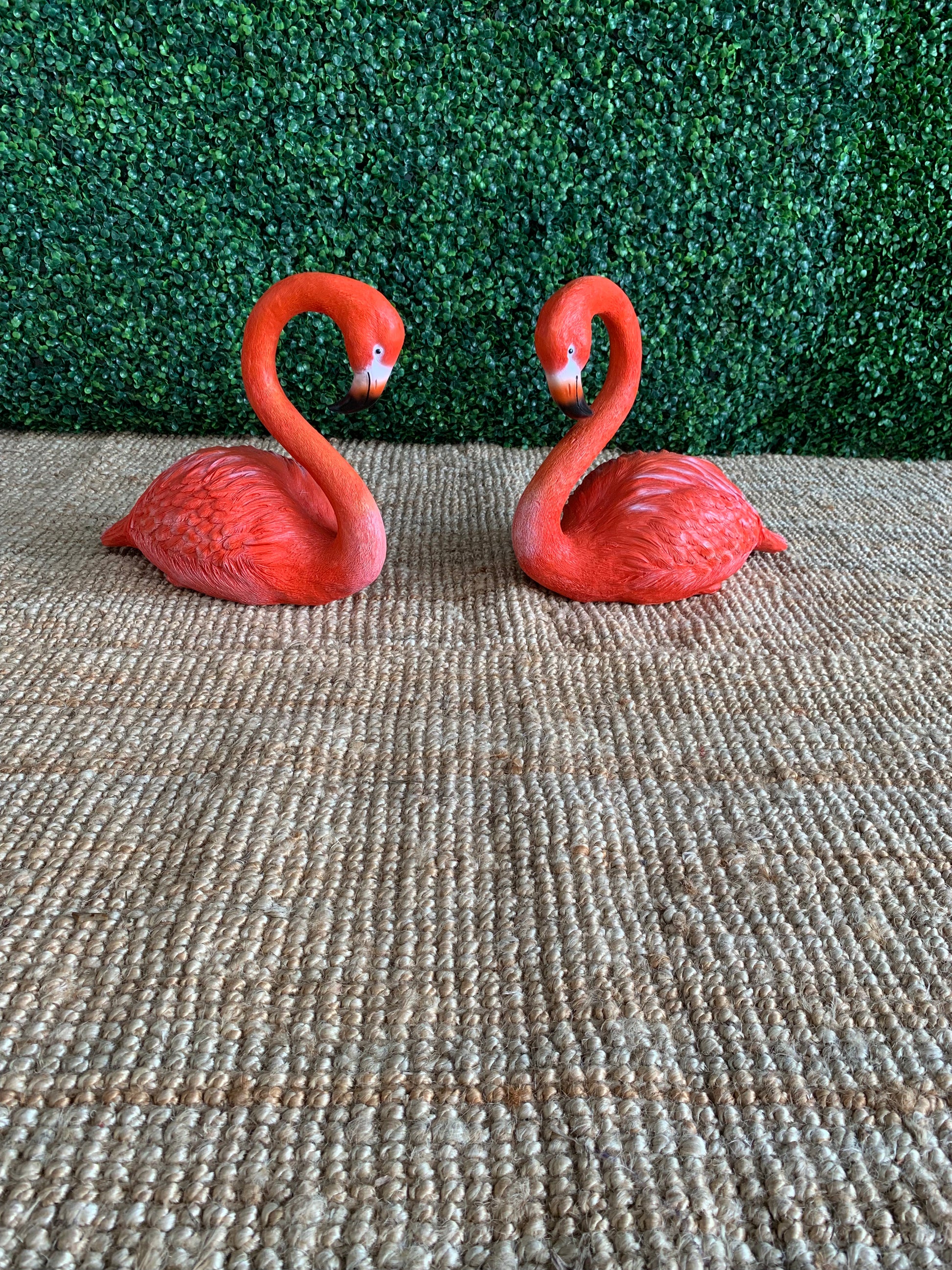 Flamingo Garden Props Rockhampton Vintage Hire