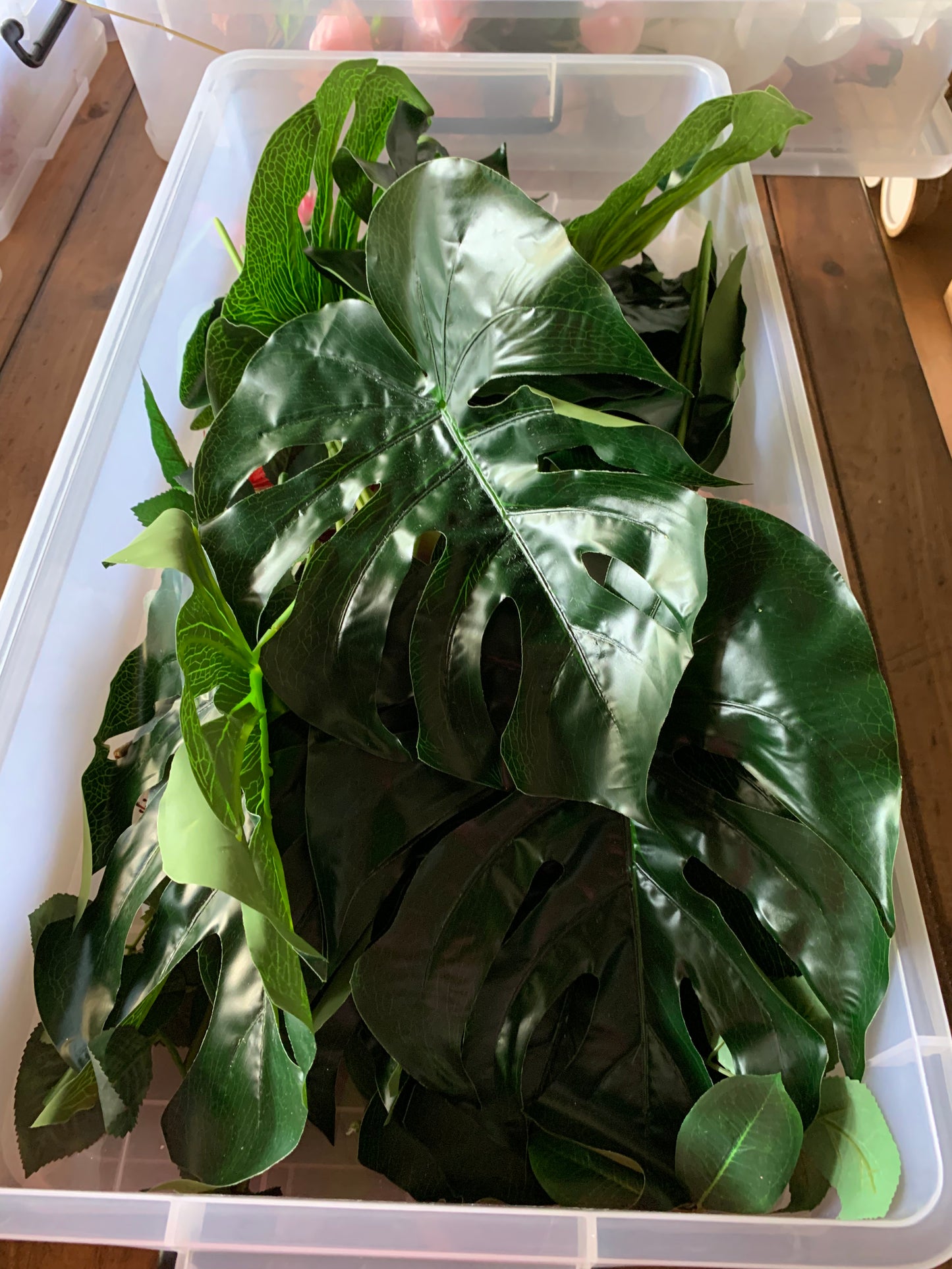 Monstera Leaf - Green Rockhampton Vintage Hire