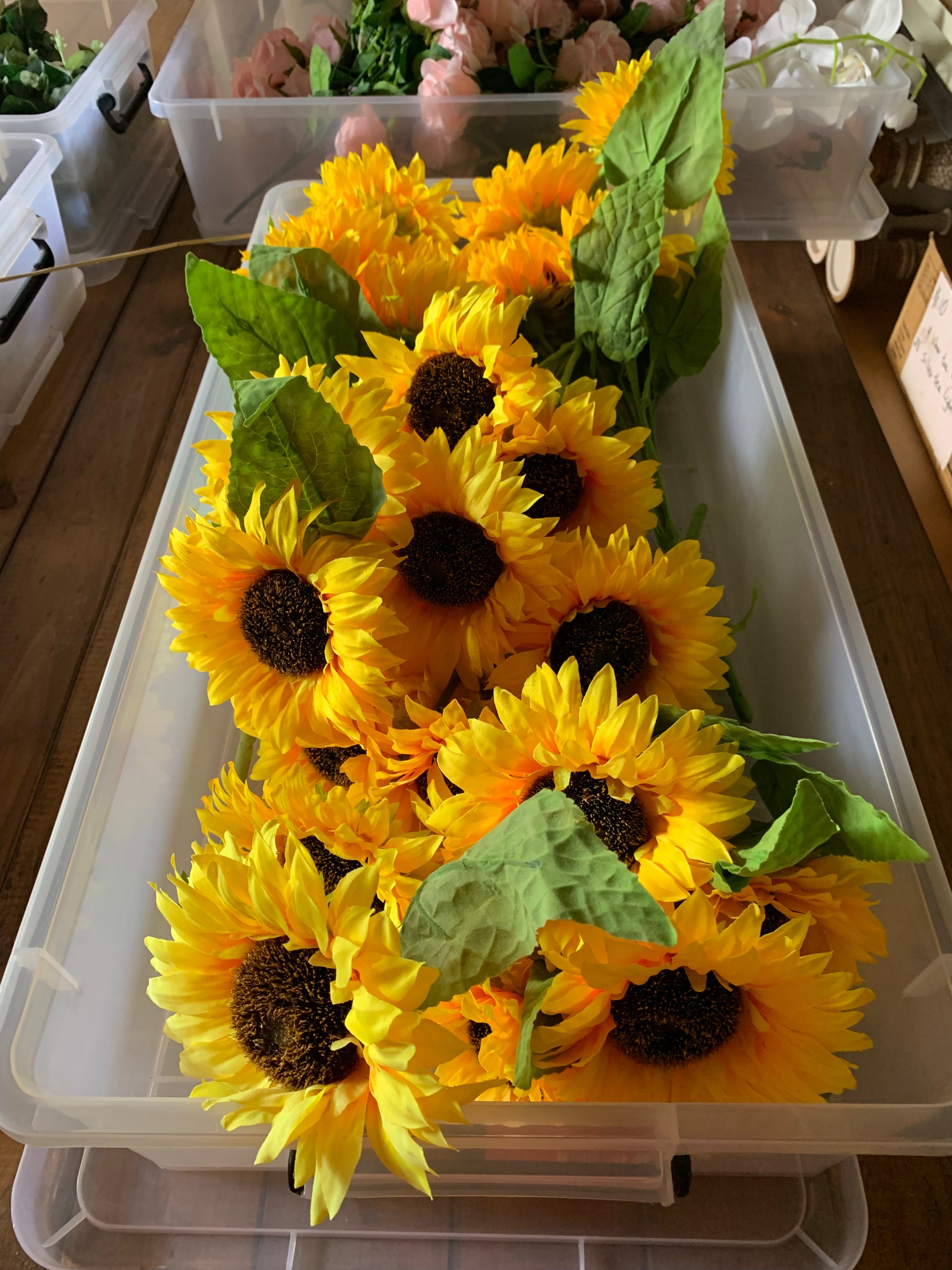 Sunflowers Stems and Leaves Rockhampton Vintage Hire