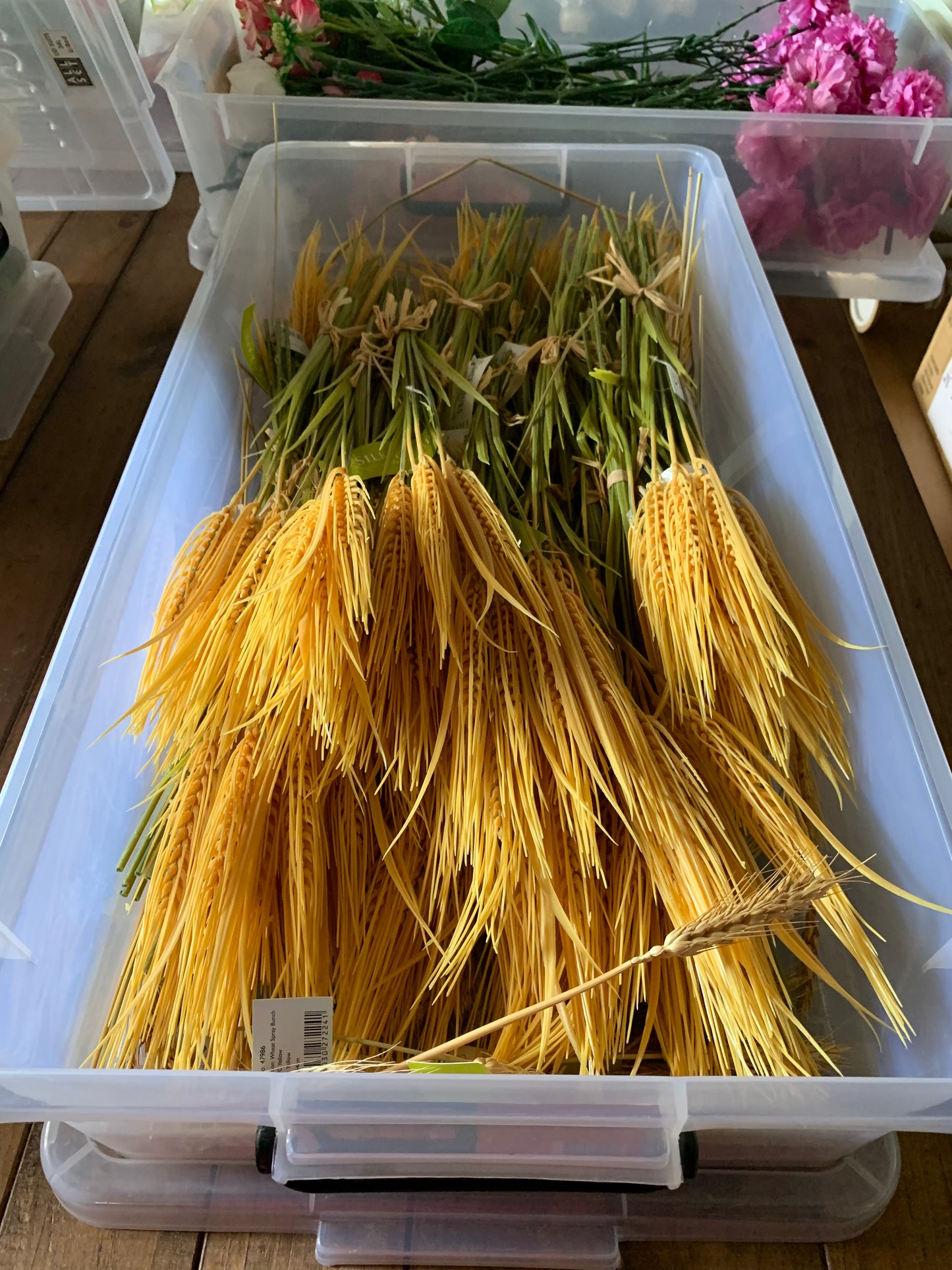 Wheat Steams With Leaves