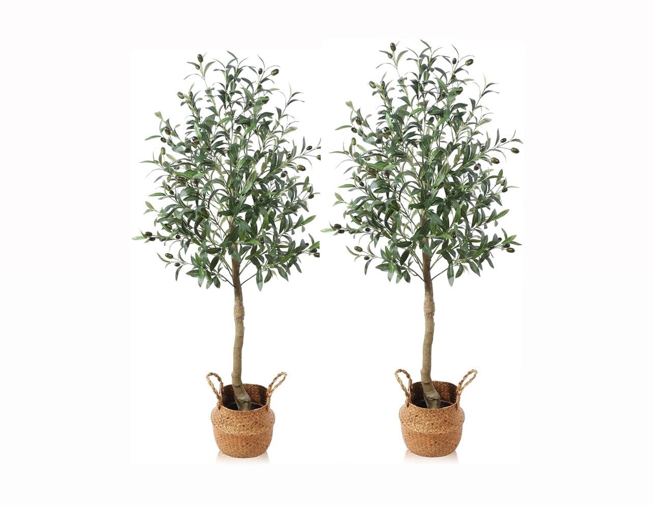 Artificial Olive Trees in black plastic pots.  Wedding & Event Hire Rockhampton Vintage Hire