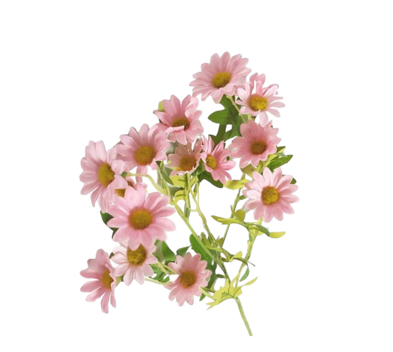 Pink Daisy Spray Various Colours Available Hire from Rockhampton Vintage Hire