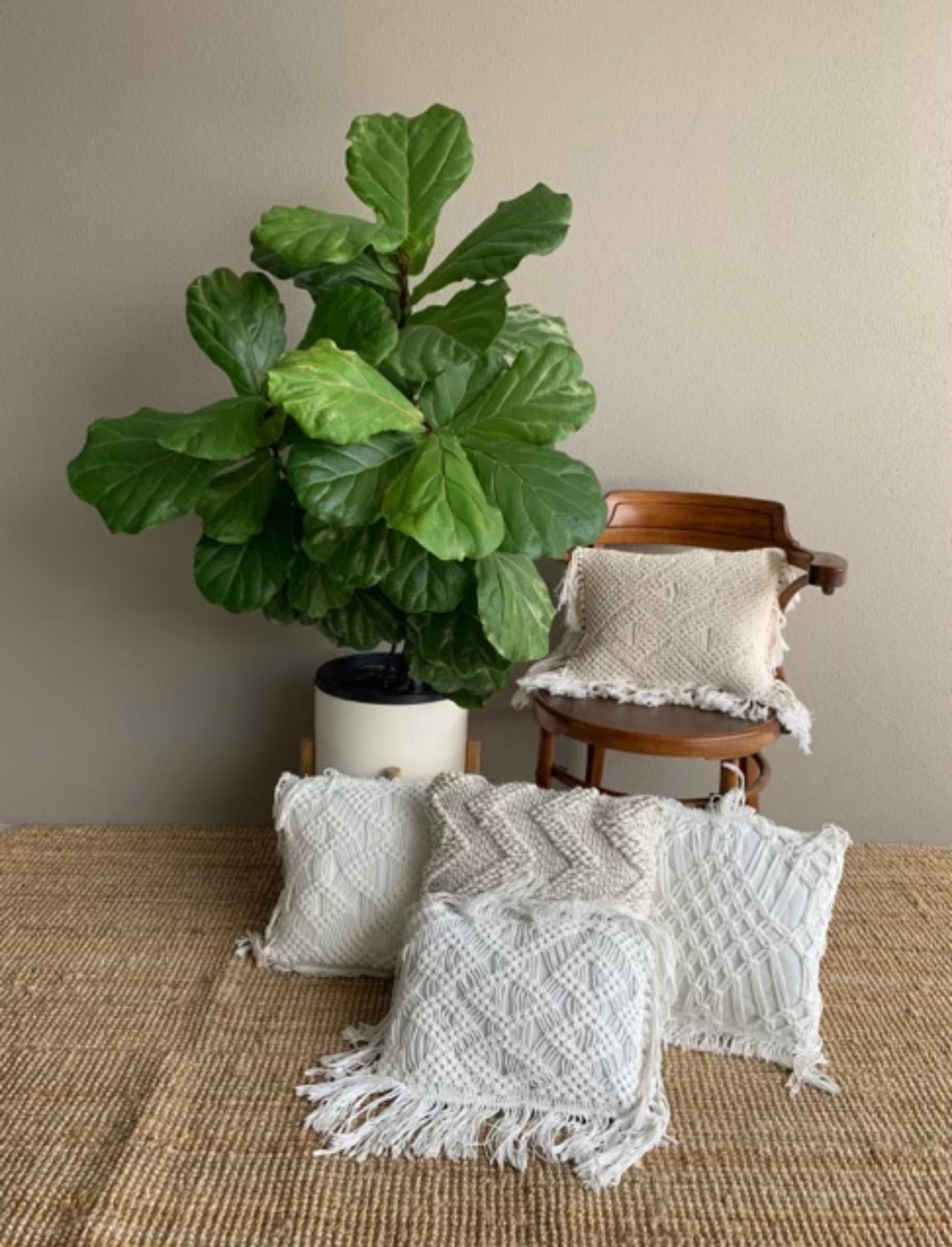 Cushions - Macrame White Tassel Rockhampton Vintage Hire