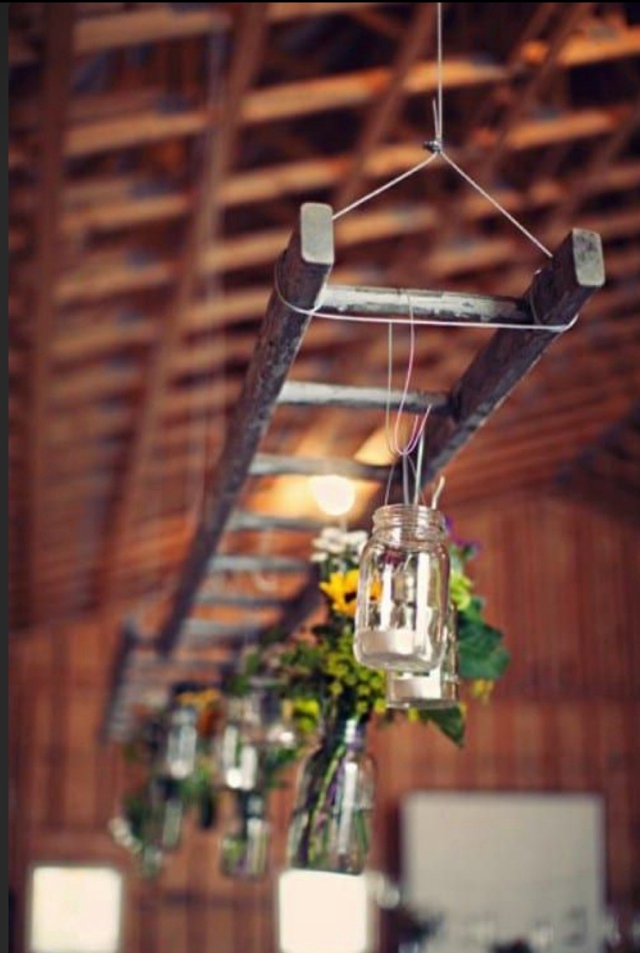 RVH Ladder - Rustic Ladder Rockhampton Vintage Hire