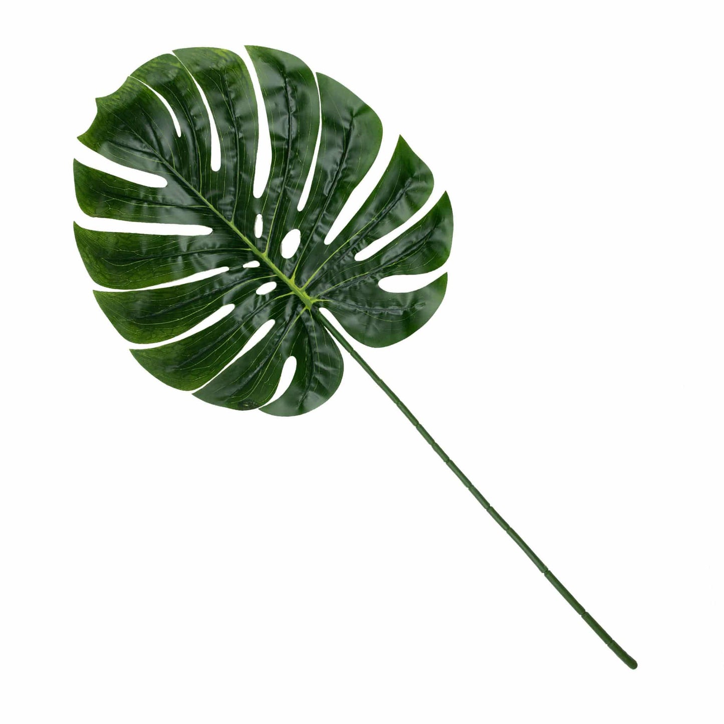 Monstera Leaf - Green Rockhampton Vintage Hire