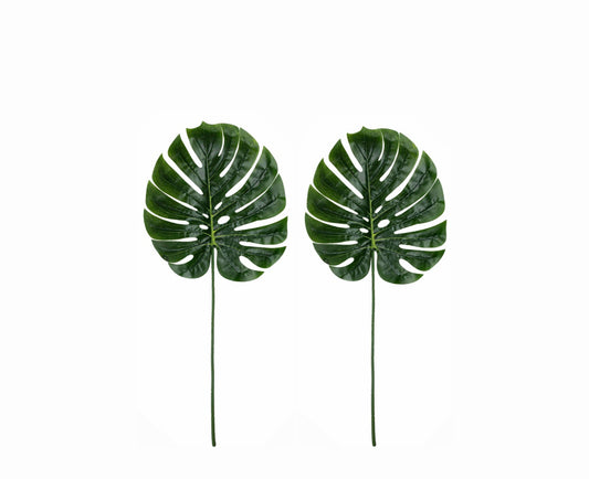 Monstera Leaf - Green Rockhampton Vintage Hire