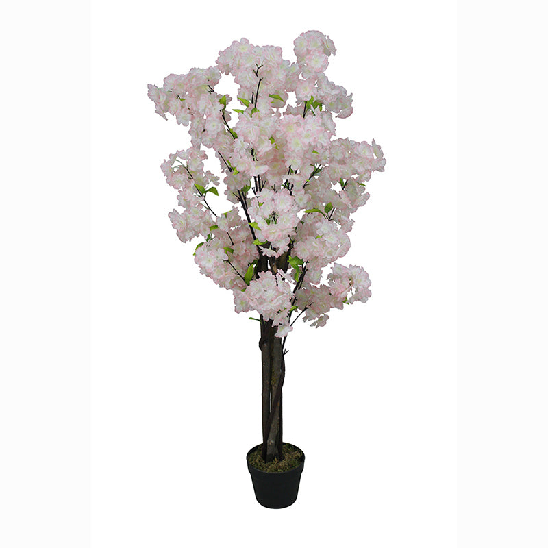 Pink Cherry Blossom (Sakura) Tree hire Rockhampton Vintage Hire