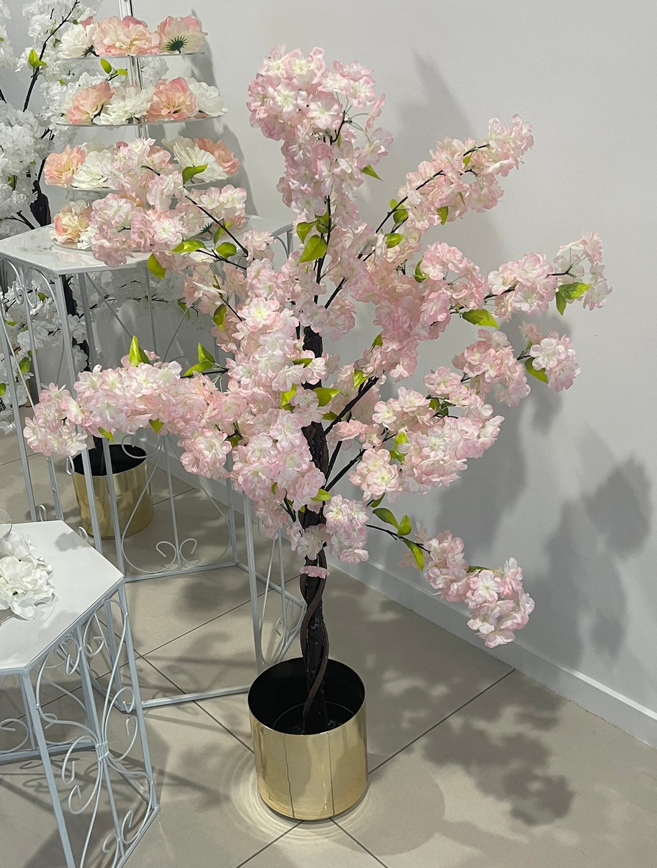 Pink Cherry Blossom (Sakura) Tree