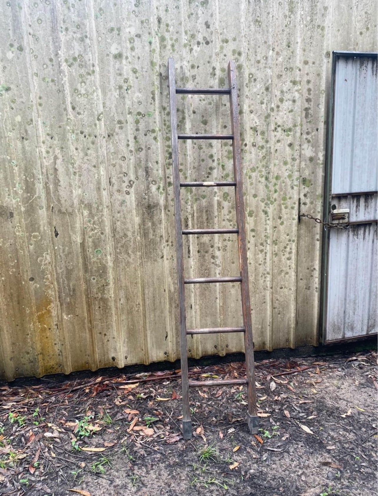 RVH Ladder - Rustic Ladder Rockhampton Vintage Hire