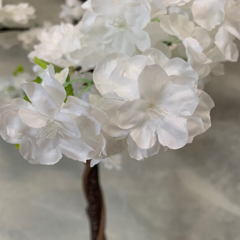 White Cherry Blossom (Sakura) Tree hire Rockhampton Vintage Hire