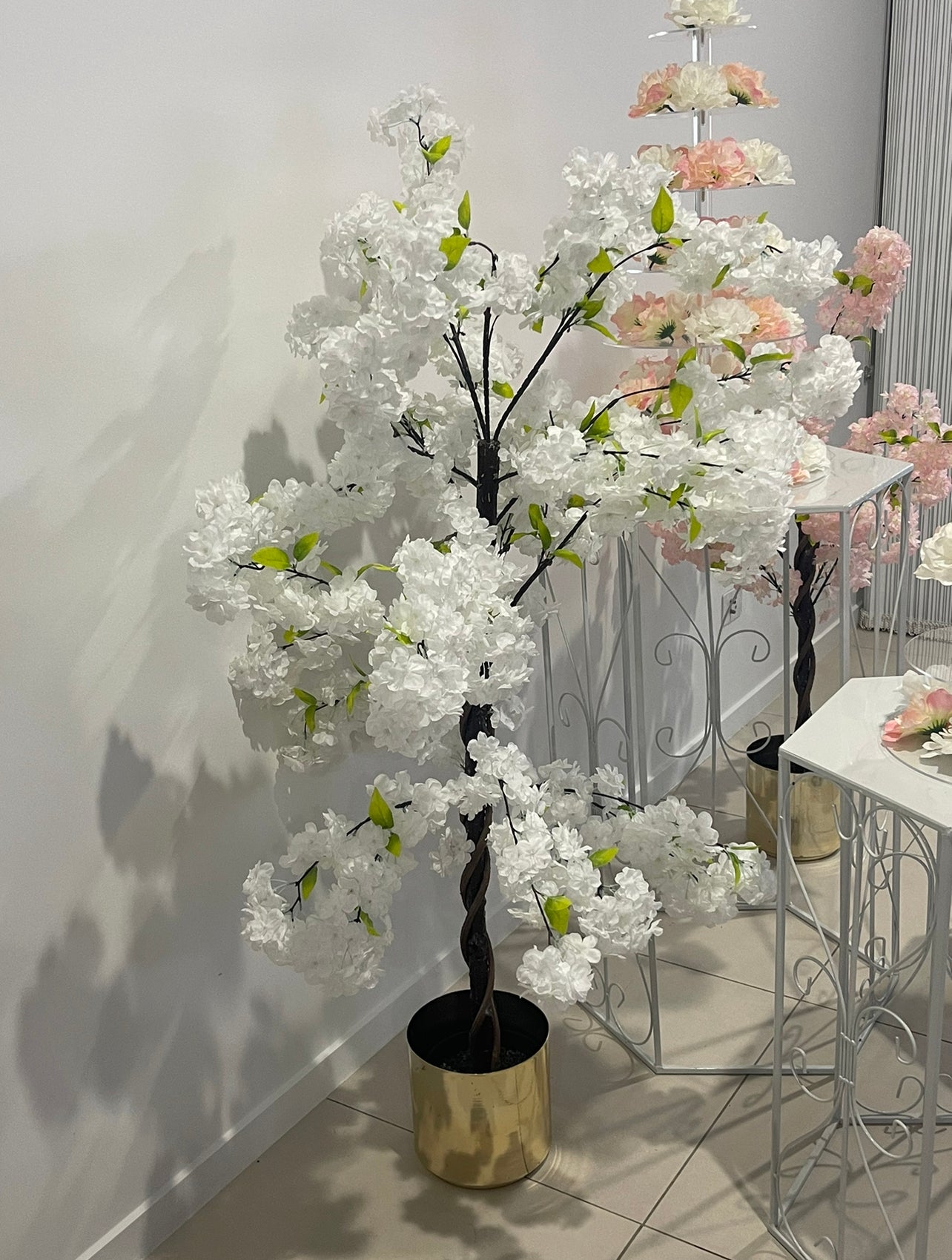 White Cherry Blossom (Sakura) Tree hire Rockhampton Vintage Hire