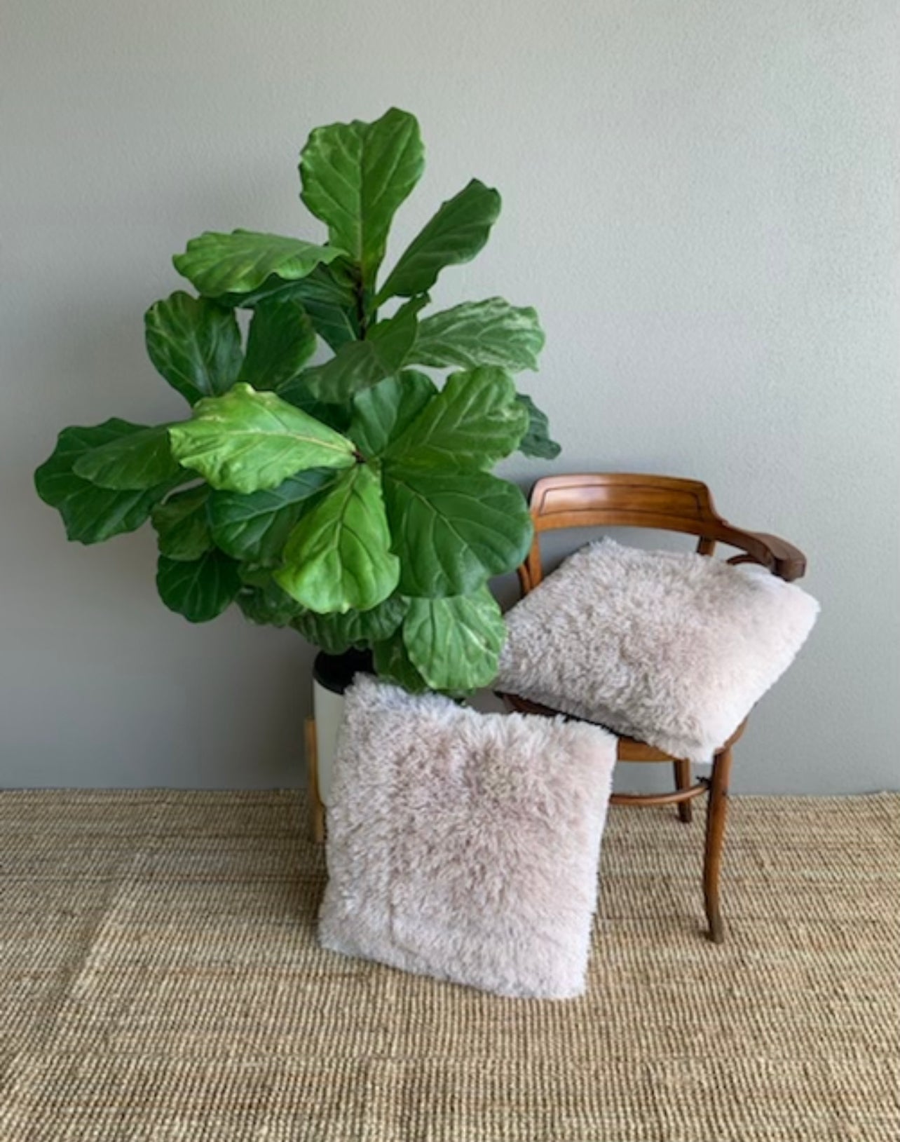 Large Square Cushions - Lush & Fluffy and Super Soft Light Pink  Rockhampton Vintage Hire