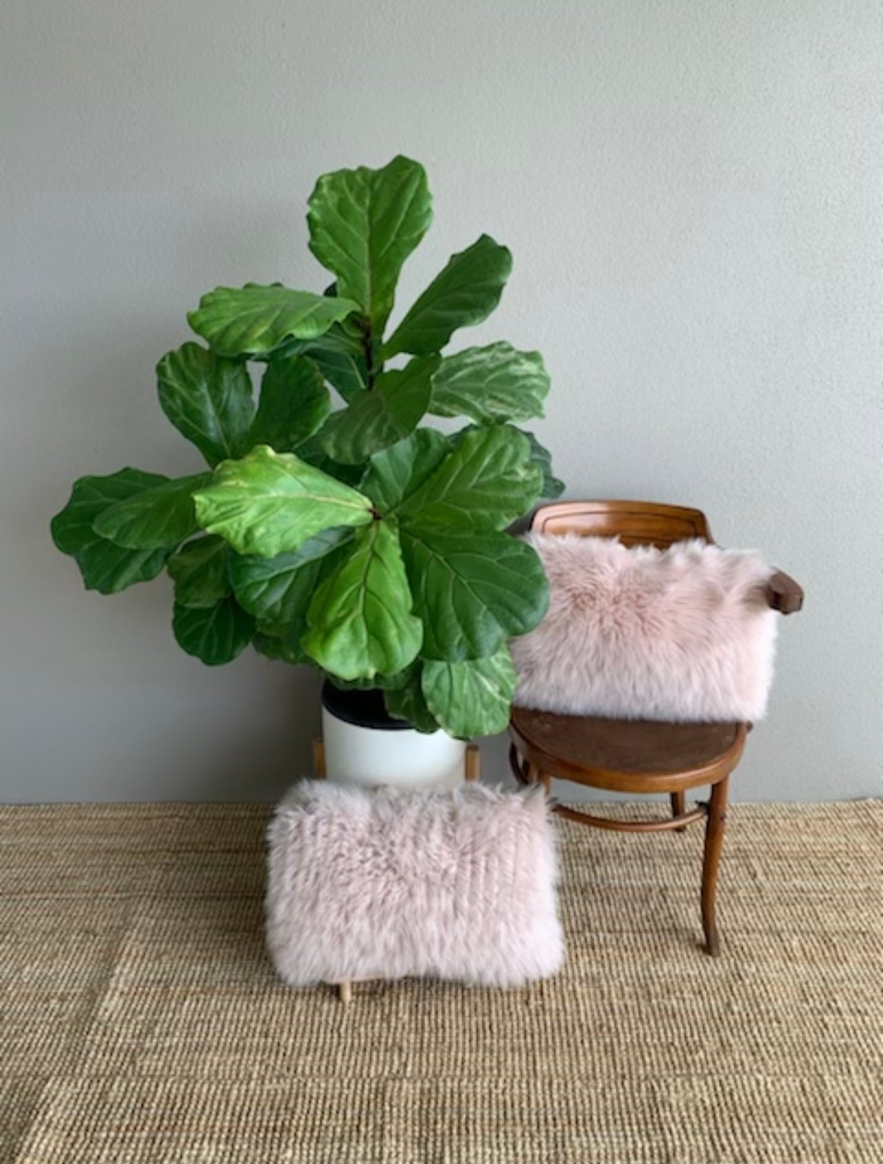 Oblong Cushions - Lush Pink Rockhampton Vintage Hire