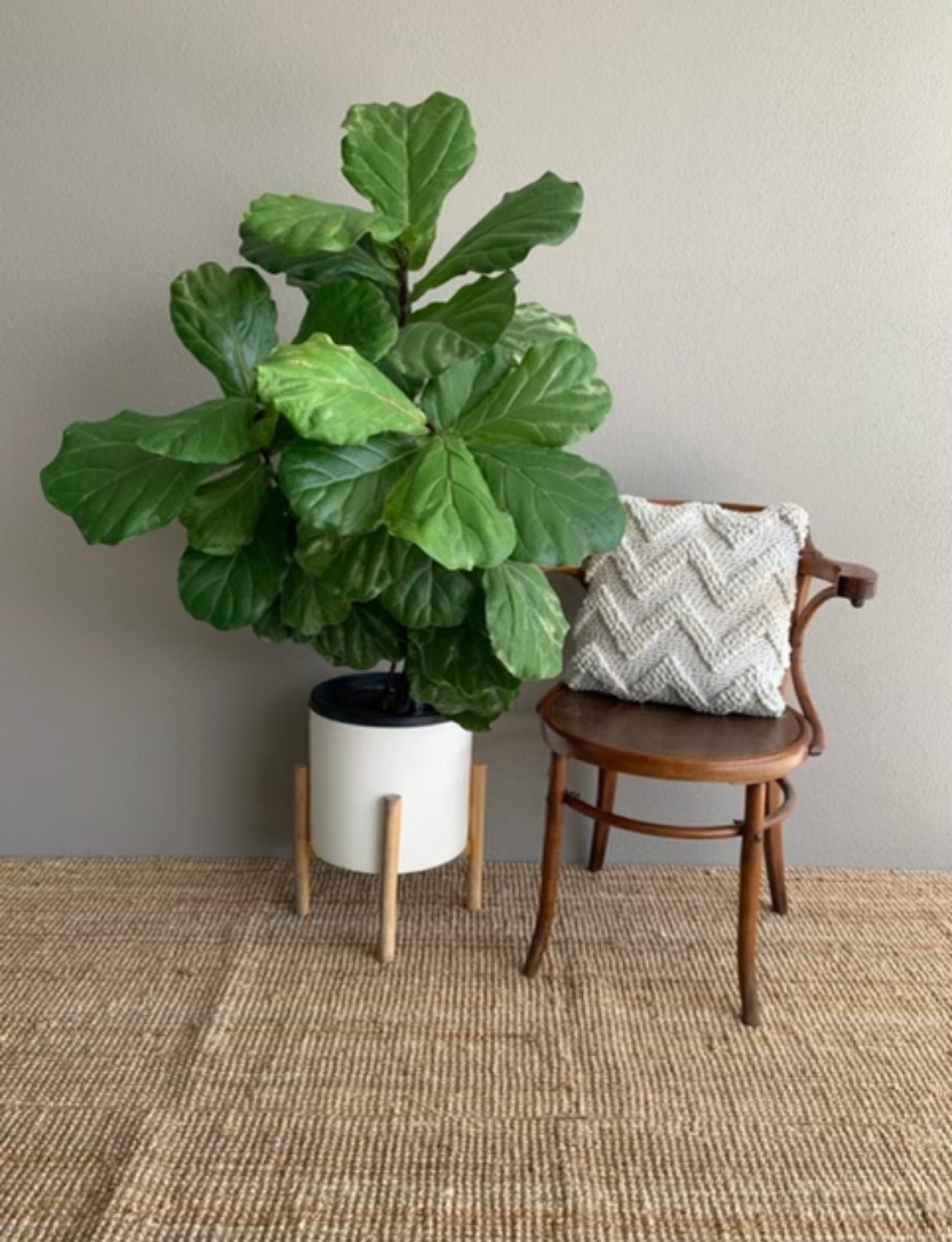 Standard Square Cushions - Cream Zig Zag Knit Rockhampton Vintage Hire