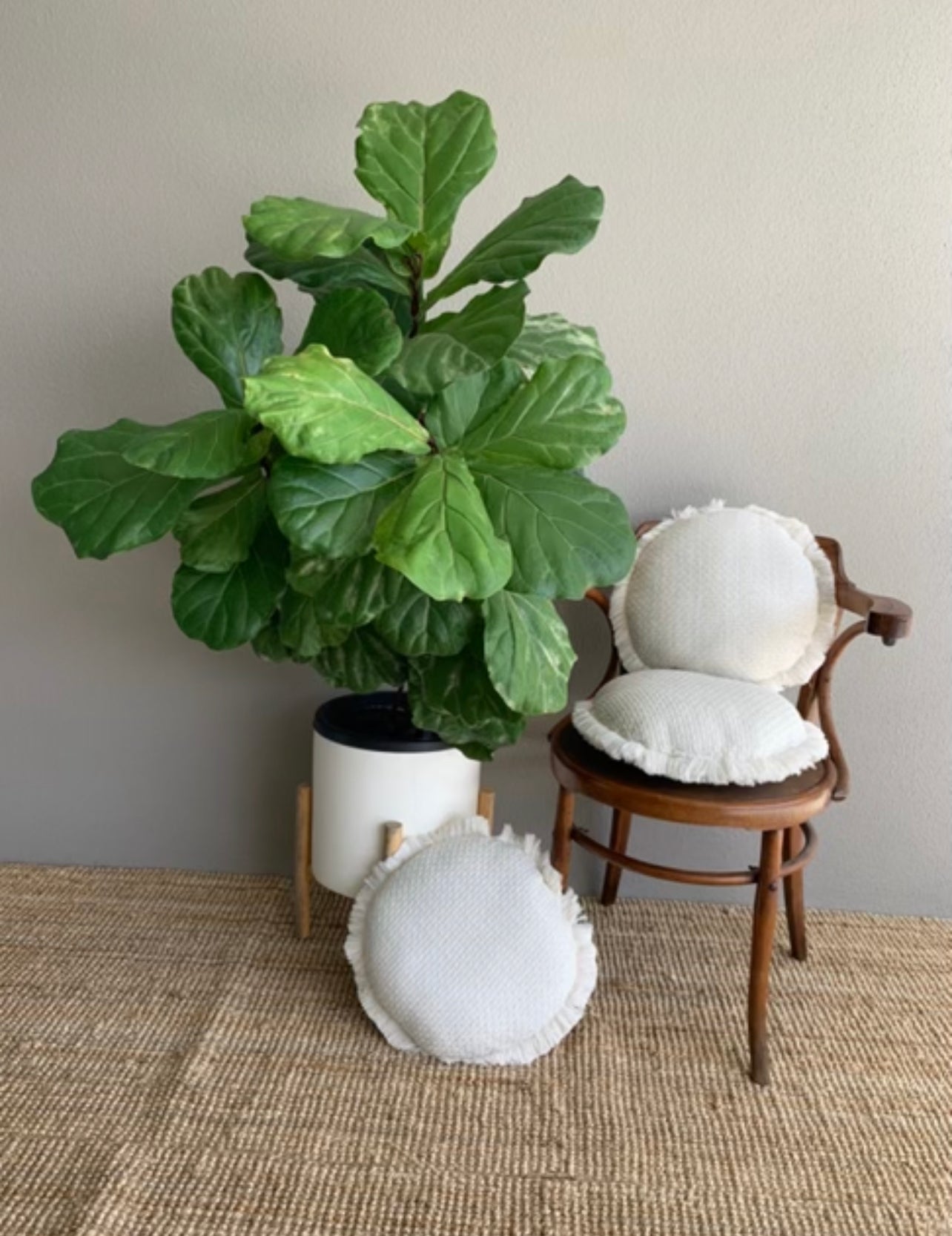 Round Cushions - White Fringing x 3 Bundle Rockhampton Vintage Hire